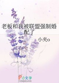 被老板和其他老板一起玩